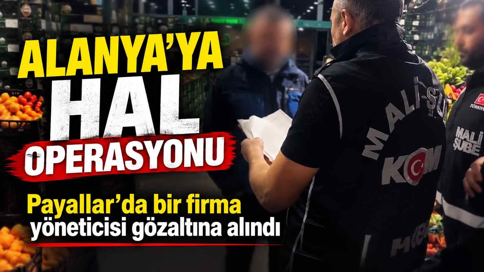 Alanya’ya hal operasyonu: Payallar’da bir firma yöneticisi gözaltına alındı