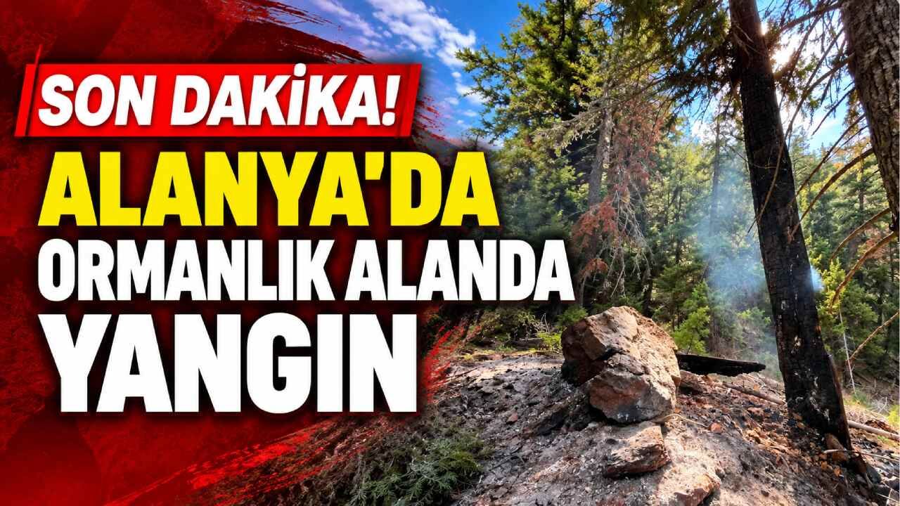 Son Dakika! Alanya'da ormanlık alanda yangın