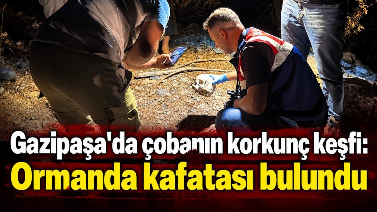 Gazipaşa'da çobanın korkunç keşfi: Ormanda kafatası bulundu