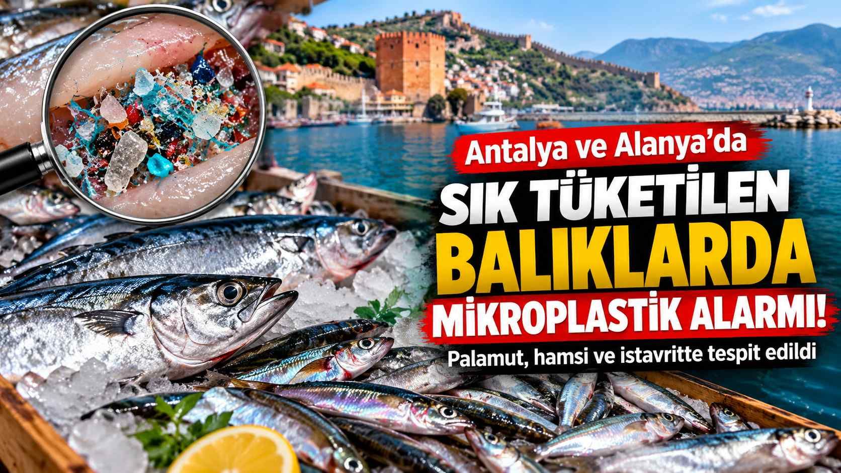 Antalya ve Alanya'da sık tüketilen balıklarda mikroplastik alarmı!